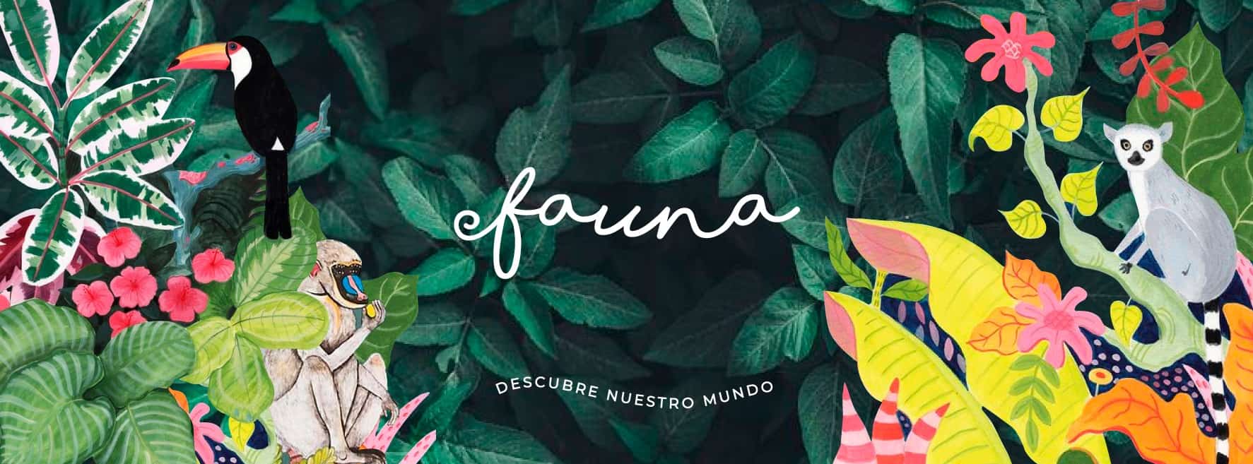 Fauna - Montañita